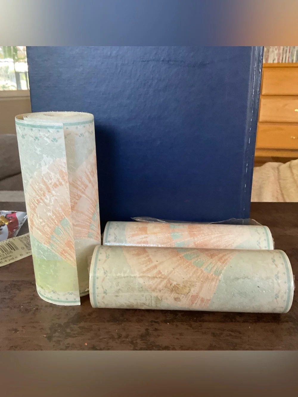 Vintage Wallpaper Border WB3165 Prepasted New